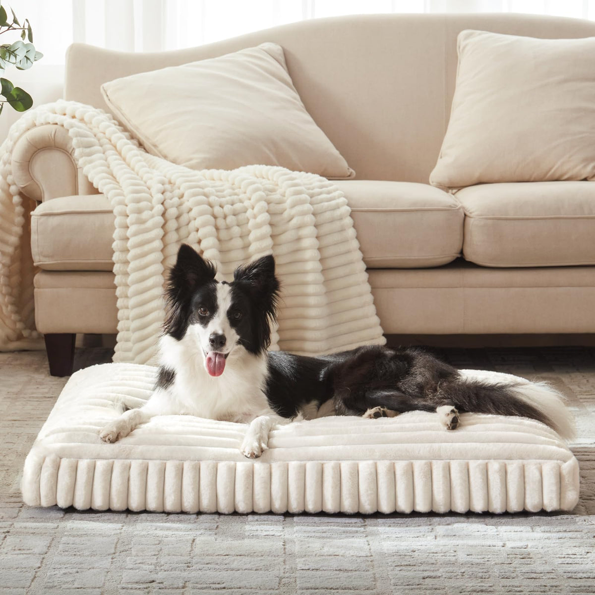Feerway™ Large Dog Bed | 35" × 23" Flat Pet Mat with Thick Shredded Foam, Removable Washable Cover & Anti-Slip Bottom (Cream)