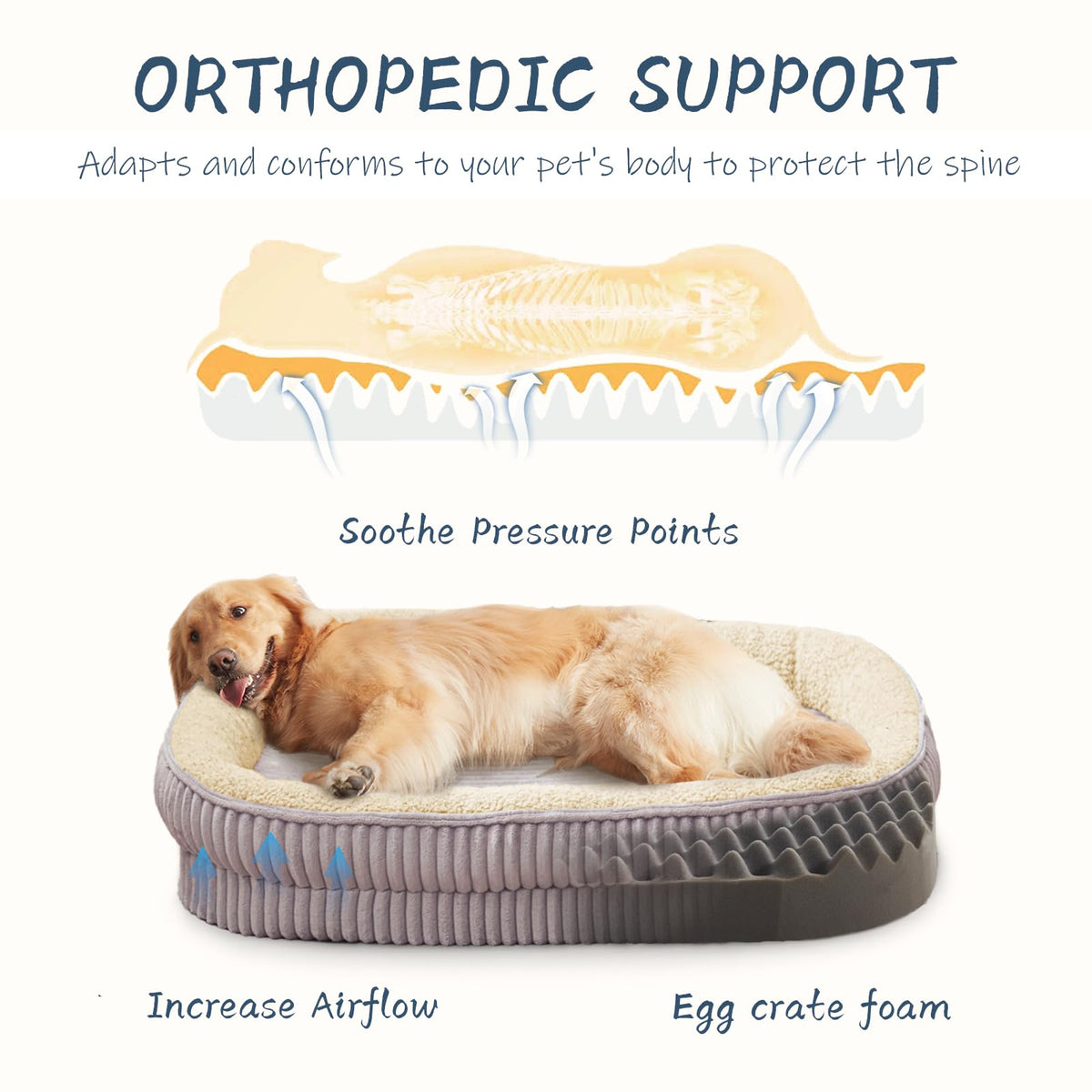 Feerway™ Oval Dog Sofa Bed | Orthopedic Egg-Crate Foam Kennel with 4-Sided Bolster, Removable Washable Cover & Nonslip Base (Medium Breeds)